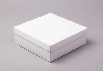 Коробка для подарка/зефира БЕЗ ОКНА, 20 * 20 * высота 7 см, Белая