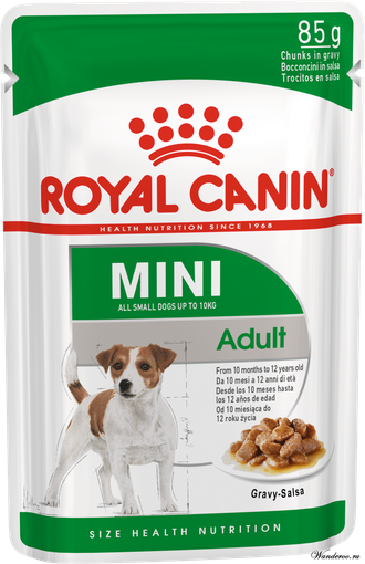 Mini mature outlet royal canin