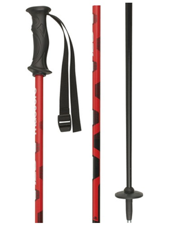 Палки горнолыжные MASTERS CARBON RTL