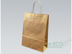 ECO CarrBag