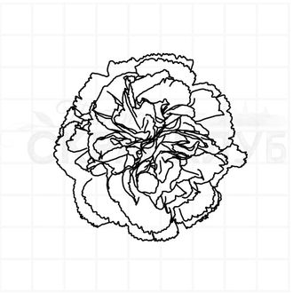 Штамп цветок гвоздики махровой