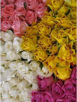 MIX ROSES 60СМ