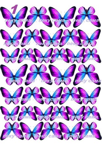 Бабочки - 34
