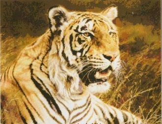 Королевский бенгальский тигр (98427)