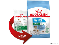 Royal Canin Mini Starter Роял Канин Мини Стартер корм для щенков мини пород до 2 месяцев, 8,5 кг