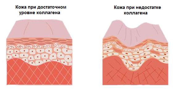 Dapoxetine bd price