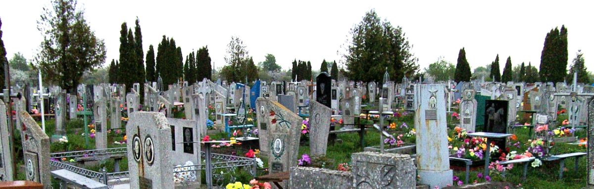 услуги по поиску могил на кладбищах