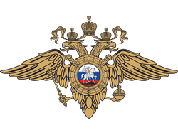 МВД РФ (Министерство внутренних дел Российской Федерации)