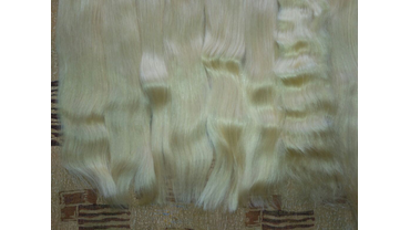 Фото натуральных волос для наращивания от нашей домашней студии Ксении Грининой 40
