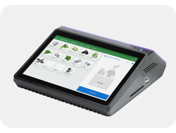 Вики Мини 10