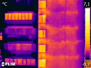 Картинка. Образец термограммы снятой на Flir T335