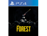 The Forest (цифр версия PS4 напрокат)