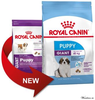 Royal Canin Giant Puppy  Роял Канин Джаинт Паппи корм для щенков гигантских пород в возрасте с 2 до 8 месяцев, 3,5 кг