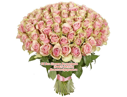 Колорит Розового