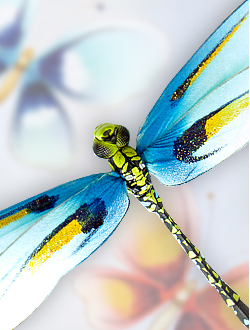 Украшения для штор