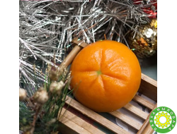Пластиковая форма "Новогодний мандарин"