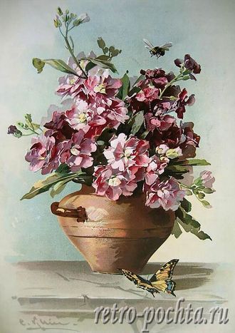 1155 Цветы  Catharina Klein