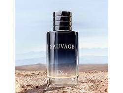 Саваж - Sauvage Christian Dior 2015