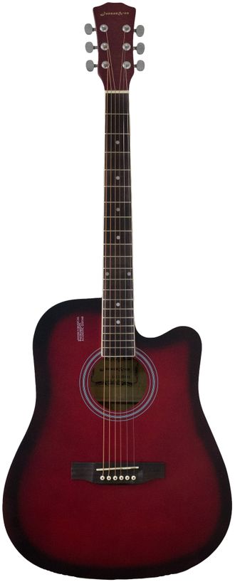 Гитара Elitaro E4120 RDS