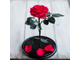Стабилизированная роза в колбе Lerosh - Premium 33 см, Малиновая