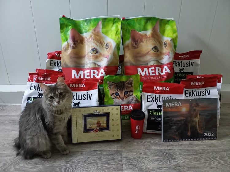 Корм для кошек Мерадог