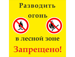 Знак &quot;Разводить огонь в лесной зоне запрещено!