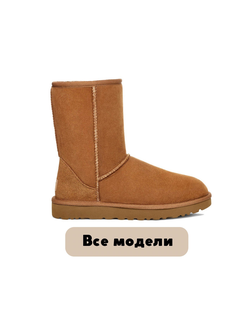 UGG MENS CLASSIC SHORT / Классические средние