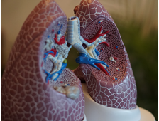 Паталогия дыхательной системы