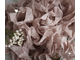 Шебби-лента Бежевая роза от производителя "Страна лент"