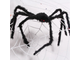 огромный, большой, паук, паучок, спаун, паутина, страшный, ужасный, чёрный, хелоуин, spider, тварь