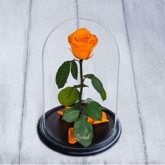 Стабилизированная роза в колбе Lerosh - Standart 33 см, Оранжевая