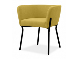 Полукресло (стул) Эвита, Размер: 600х640х680 сидение 460 мм, обивка и покраска металла на выбор
