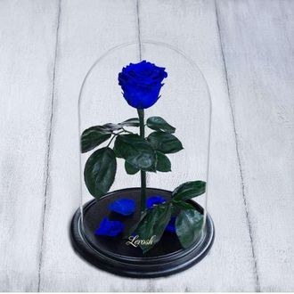 Стабилизированная роза в колбе Lerosh - Standart 33 см, Синяя