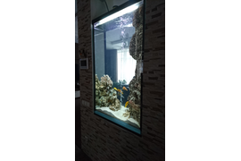  Аквариум в частном котедже сделан в качестве перегородки между гостинной и кухней    Bio-Spb.ru
Обслуживание  аквариума