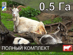 Электропастух СТАТИК-3М для коз на 0,5 Га - Удержит даже самого наглого козла!