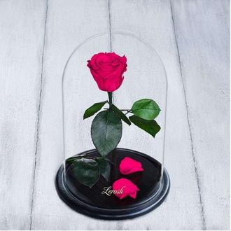 Стабилизированная роза в колбе Lerosh - Standart 33 см, Малиновая