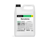 Антисептик для рук Pro-Brite Barcelona 5л (без спирта)
