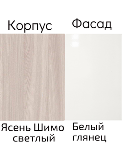 Шкаф с выдвижной штангой "МОНИКА" (модификация 3)