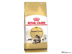 Royal Canin Main Coon Adult Роял Канин Мейн Кун Эдалт Корм для кошек породы мейн кун 10 кг