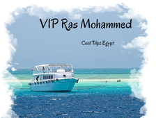 Sea trip Vip Ras Mohammed and White Island (with the possibility of diving for beginners) from Sharm El Sheikh