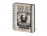 Ежедневник Pyramid: Harry Potter (Wanted Sirius Black) A5 Wiro Notebooks