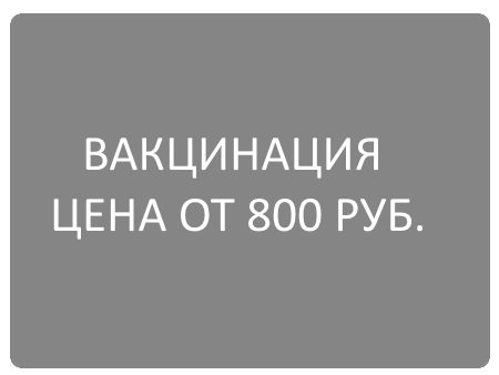 Вакцинация в Волгограде собак и кошек