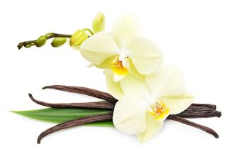 Отдушка Орхидея и ваниль, 10 мл.