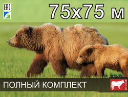 Электропастух СТАТИК-3М для пасеки 75x75 метров - Удержит даже самого наглого медведя!