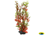 270442 Растение аквариумное Red Ludwigia (M) 23см с утяжелителем