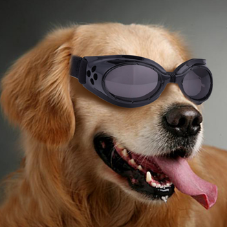 Солнцезащитные от УФ ветрозащитные очки для собак