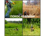 услуги по покосу травы, косим камыш, сухостоев и мелкого кустарника в пределах Центрально-Чернозёмно