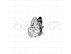 Штамп невесомая бабочка со сложенными крыльями