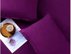 Комплект постельного белья Однотонный Сатин цвет Лиловый  (1.5 спальное) CS027