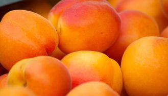 Абрикос (Apricot Essence, Natural), Robertet